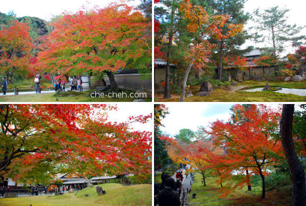 Fall Foliage @ Kodai-ji, Kyoto